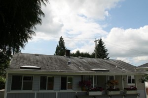 View of roof from the back Before