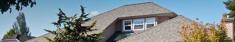 Vancouver Roofing