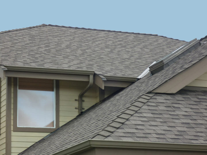Protect your Roof from Birds
