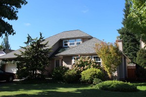 Residential roofing in finish